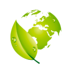 green-fourmi-verte green-fourmi-verte