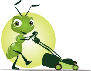La Fourmi Verte - Solutions d'entretien et aménagement de jardin